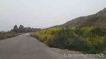 Enna – Strade extraurbane in condizioni pessime, tutto nella norma - Dedalomultimedia