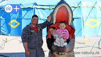 Stralsund: Dinosaurierland auf der Mahnkeschen Wiese - Ostsee Zeitung