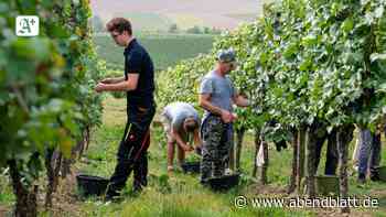 Weine aus der "spannendsten Weinregion Deutschlands“ - Hamburger Abendblatt
