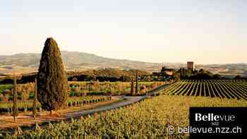Der beste Weine Italiens: Brunello di Montalcino - NZZ Bellevue