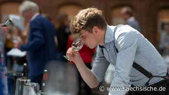 So werden Sachsens 2021er Weine - Sächsische.de