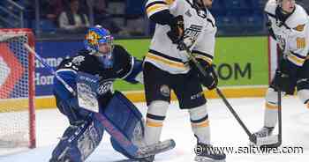 Saint John Sea Dogs use three-goal second period to beat Cape Breton Eagles Thursday - Saltwire