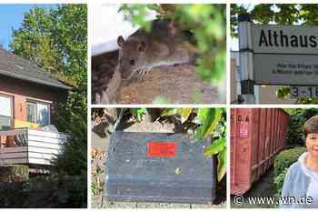 Müll, Ratten und ständige Angst: Vom Leben im Viertel des Müllsammlers