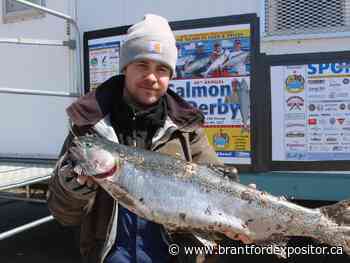 Bluewater Angler's Sarnia-area Salmon Derby has begun - Brantford Expositor