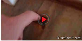 Fresnes : Un syndicat dénonce les conditions d'hébergement du personnel de la prison - ACTU Pénitentiaire