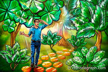 Entering NFTs: Understanding the environmental impact of digital collectibles