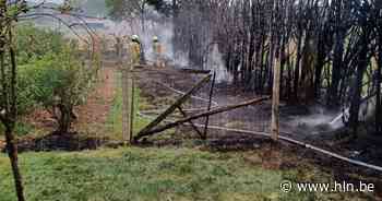 Bomenrij gaat in vlammen op | Holsbeek | hln.be - Het Laatste Nieuws