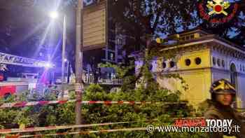 Rami cadono vicino alla stazione a Monza: pompieri al lavoro - MonzaToday