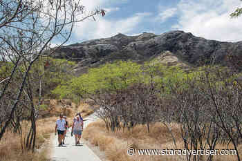 New online reservation system aims to limit visitors at Diamond Head