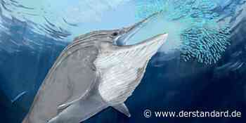 Überreste riesiger Meeressaurier in den Alpen aufgetaucht - Natur - DER STANDARD