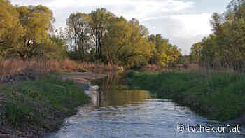 Expeditionen: Inn - Der grüne Fluss aus den Alpen vom 25.04.2022 um 13:35 Uhr - ORF-TVthek
