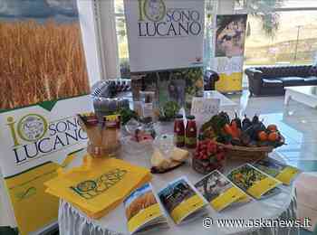 Al Sonic Park Matera il meglio dell'enogastronomia di Basilicata - Agenzia askanews