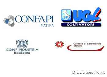 Convegno su energie alternative e agrofotovoltaico a Matera, Mollica: "Dichiarazioni assessore Latronico lasciano ben sperare" - Sassilive.it