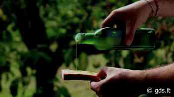 Concorso Turismo dell'Olio, 8 vincitori da Perugia a Matera - Giornale di Sicilia