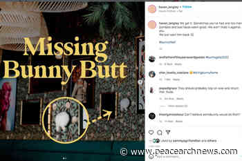 Stolen bunny butt in Langley leads to viral post – Peace Arch News - Peace Arch News