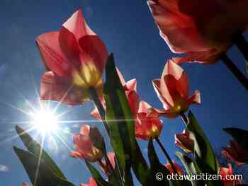 Weather: April ends with another beautiful day