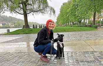 Ein Hundepark für Passau - Passau - Passauer Neue Presse - PNP.de
