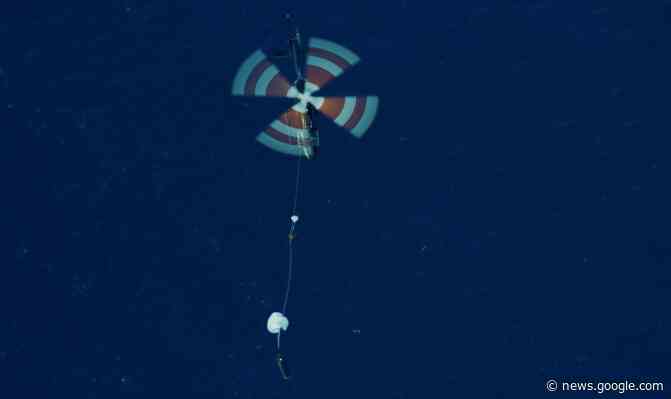 Watch Rocket Lab attempt to catch a falling booster with a helicopter today - TechCrunch