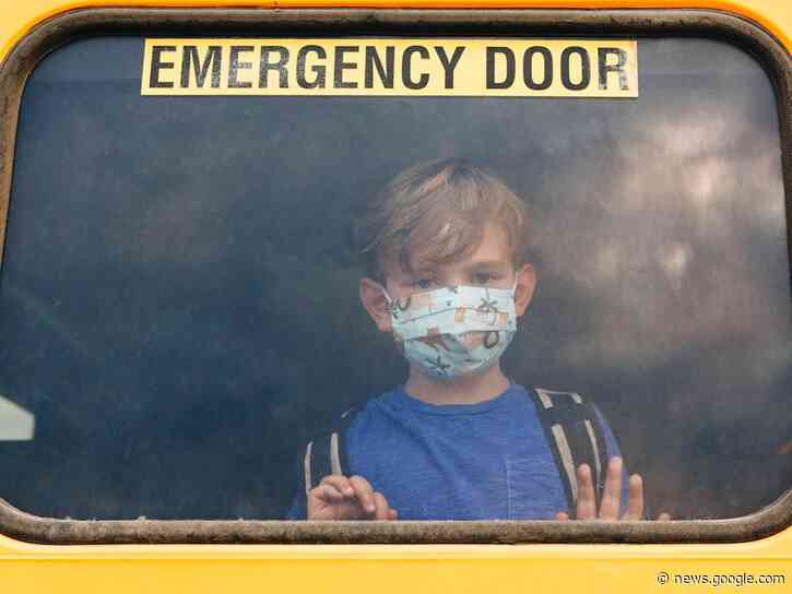 CDC describes 4 tell-tale physical symptoms of the mysterious liver disease that's spreading among kids in the US and Europe - Yahoo! Voices