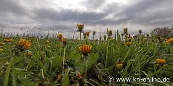 Mai beginnt ungleich: Schauer im Süden, blauer Himmel im Norden