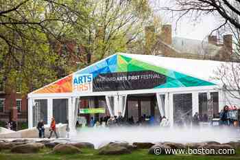 Enjoy a variety of art at Harvard's Arts First Festival - Boston.com