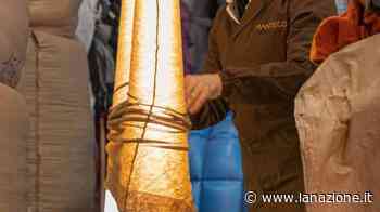 Nelle fabbriche i tesori di Prato Ecco le visite per saperne di più - LA NAZIONE