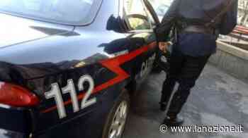 Rapina e aggressione a Prato: fermato 30enne, in fuga il complice - LA NAZIONE