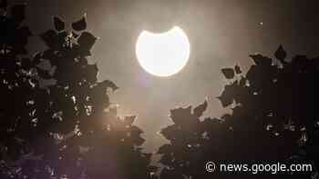 The first solar eclipse of 2022 occurs today! What time does it begin? - Space.com