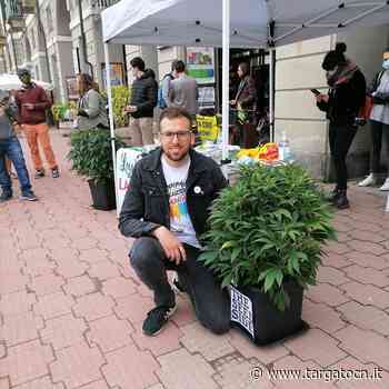 Coltivazione privata di cannabis: Filippo Blengino dei Radicali Cuneo convocato in Prefettura - TargatoCn.it