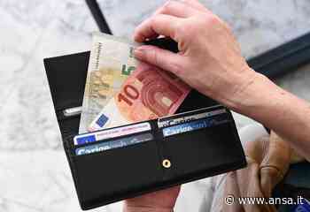 Presidente della provincia di Cuneo, norme semplici per la minimum tax - Europa - Agenzia ANSA