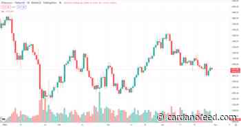 Top 5 Cryptocurrencies in May 2022: ETH, SOL, DOGE, ADA, LUNA - Cardano Feed
