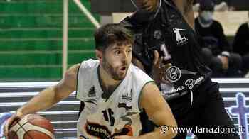 Mens Sana concentrata sui play-off Coach Binella perde l’ala Del Cucina - LA NAZIONE