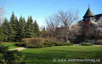 Discovering Westmount Park's trees /1 - Westmount Magazine - WestmountMag.ca