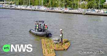 BEKIJK - Groene vlotten aangelegd in de haven van Brussel: "Meer plek voor vogels en vissen om zich voort te planten" - VRT NWS