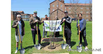 St. Bonaventure Students Plant White Birch on Arbor Day - TAPinto.net