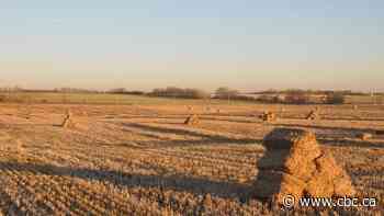 Metal detecting club hopes to strike gold on Alberta's Klondike Trail