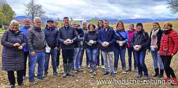 Schutz der Schlatter Quelle - Bad Krozingen - Badische Zeitung