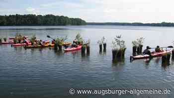 Urlaub in der Partnerstadt? Neu-Ulm bietet internationale Jugendfreizeit an