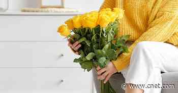 At $39, You Can Afford to Surprise Mom With Two Dozen Roses for Mother's Day     - CNET
