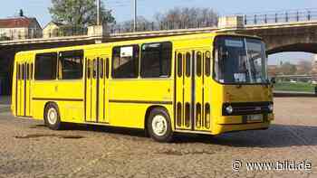 Dresden: Retro-Busse zurück im Linienverkehr | Regional - BILD