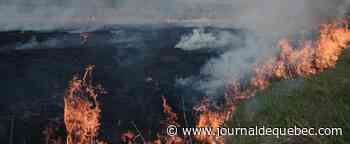 Les forces russes passent du rouleau compresseur au grignotage