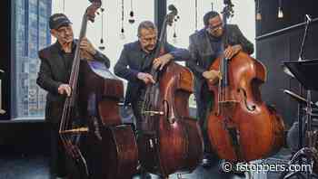 On Jazz, Bassists, and Expecting the Unexpected as Photographers