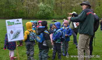 Gezeichnet von Wetter und Schädlingen – Hamelns Forst erhält über 3500 Neupflanzungen - Dewezet