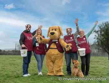 Hearing Dogs for Deaf people calls for Coventry volunteers to aid in fundraising collection - Coventry Observer