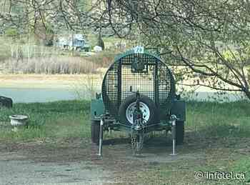 Conservation service sets trap for nuisance bear in Kamloops neighbourhood | iNFOnews | Thompson-Okanagan's News Source - iNFOnews