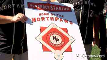 Billets needed as NorthPaws' inaugural season approaches - CFJC Today Kamloops