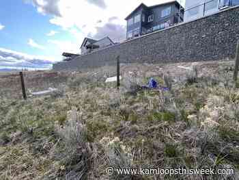 Letter: Let's keep Kamloops clean - Kamloops This Week