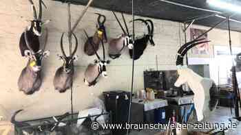 Umweltministerium will Jagdtrophäen-Import einschränken