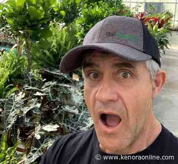 Prepping ahead of time is key, explains Debbie's Greenhouse - KenoraOnline.com