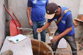 #Chapada: Itaberaba sediará seminário regional sobre doença de chagas no dia 4 de maio - Jornal da Chapada